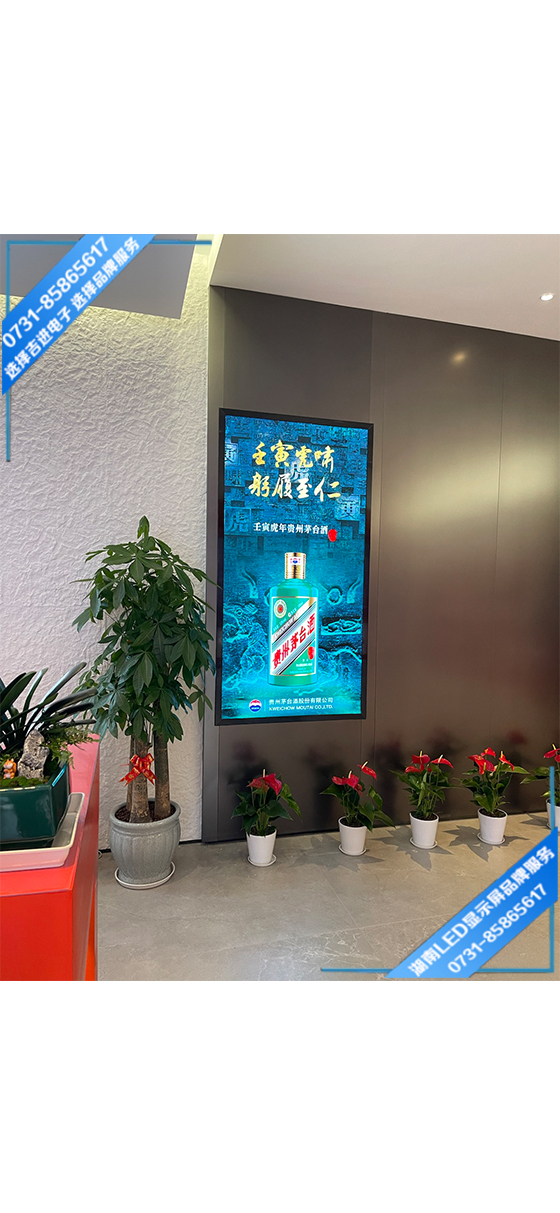 長沙岳麓區某連鎖專柜LED顯示屏